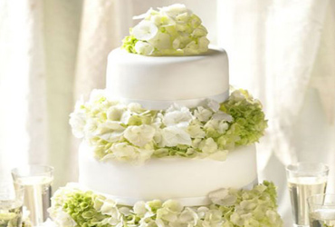 Wedding Yachts Cabo San Lucas, Los Cabos Boat Weddings