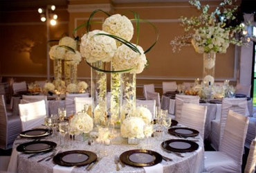 Wedding Yachts Cabo San Lucas, Los Cabos Boat Weddings