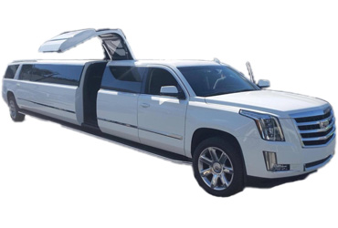 Wedding Yachts Cabo San Lucas, Los Cabos Boat Weddings